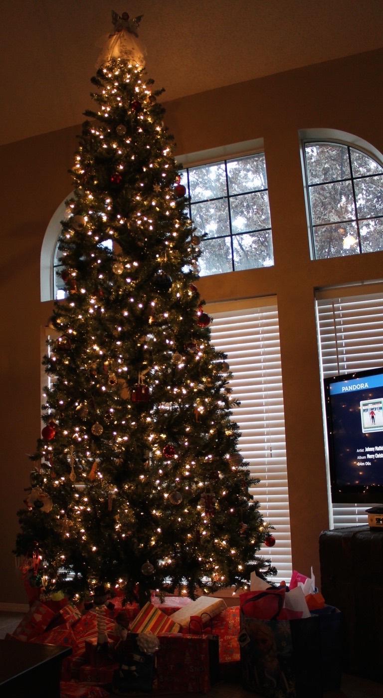 Our 12 ft quick-set tree in the living room
